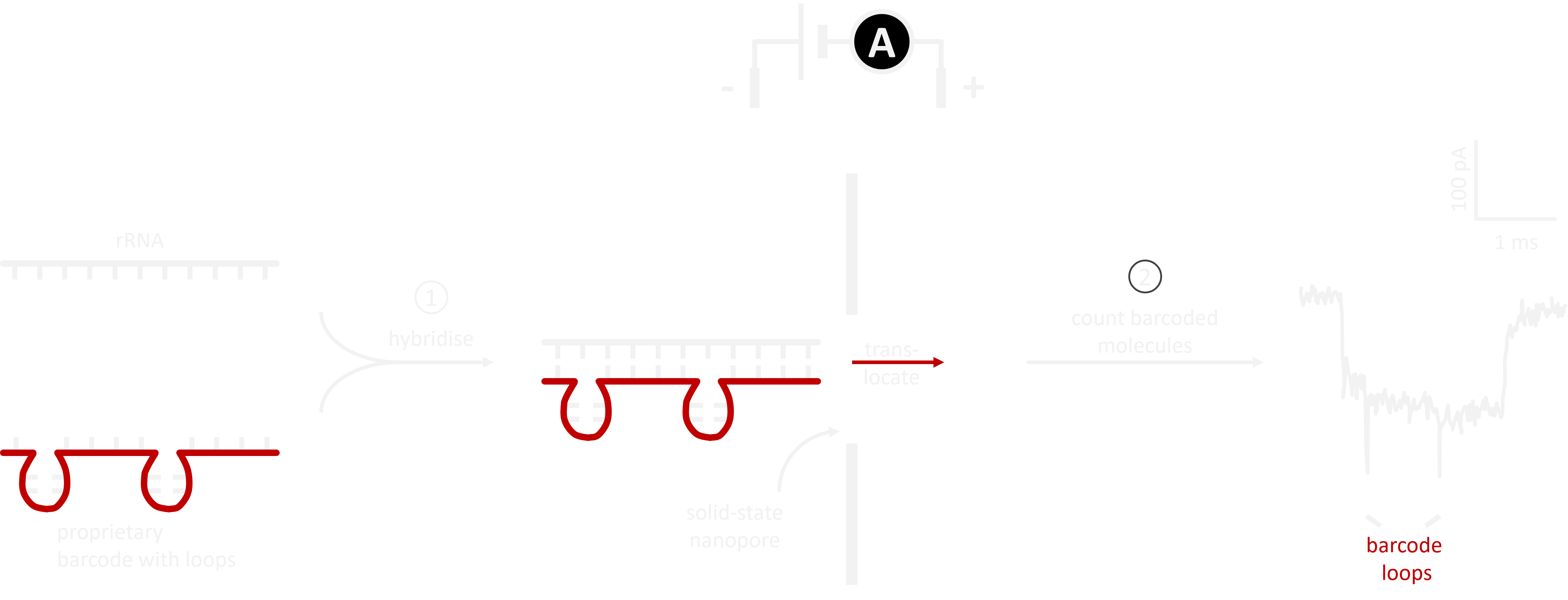 Nucleomics nanotechnology for RNA counting on nanopores